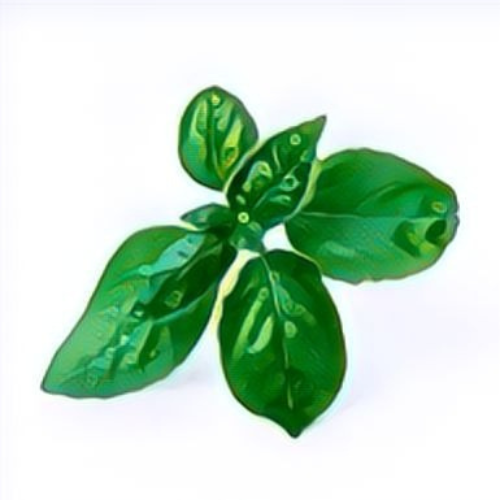 Basilic