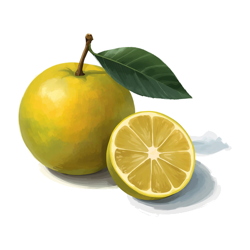 Bergamote