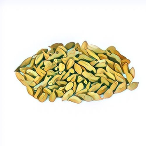 Cardamome