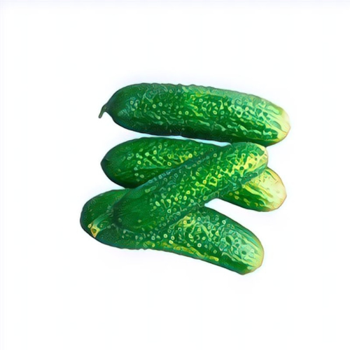 Cornichon