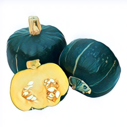 Courge