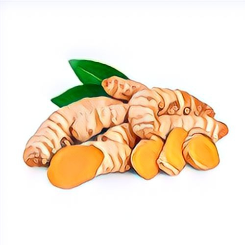 Curcuma