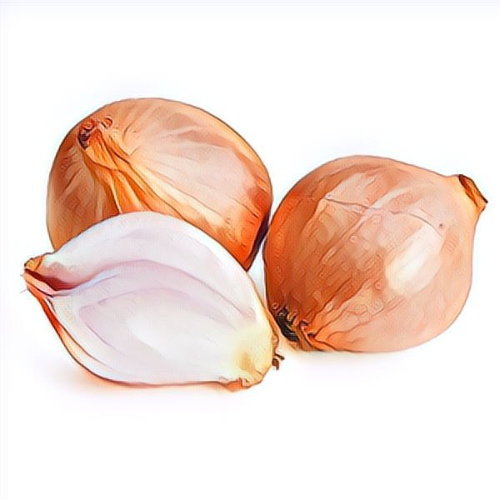 Échalote