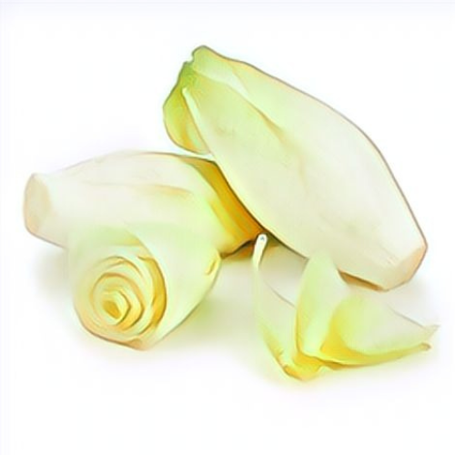 Endive