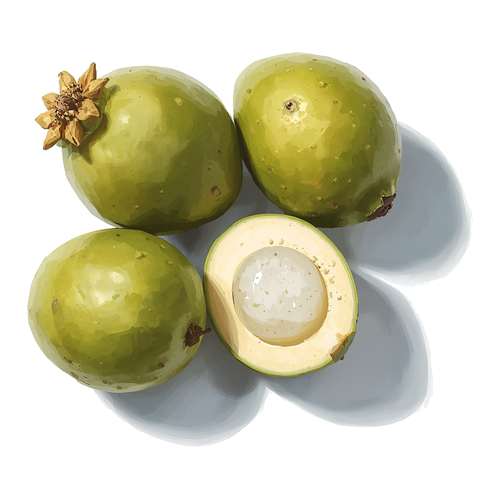 Feijoa