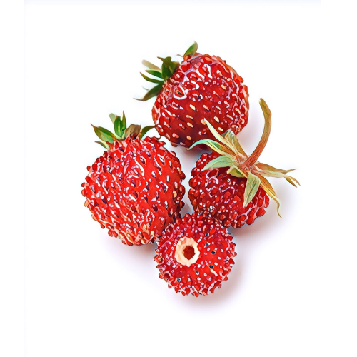 Fraise des bois