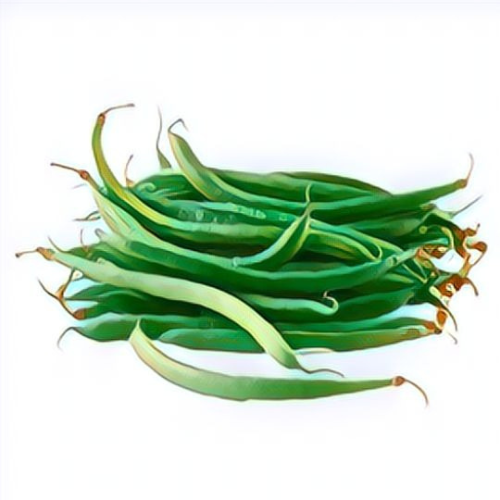 Haricot vert