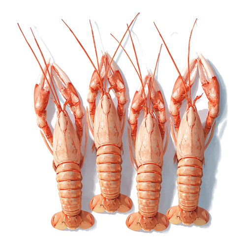 Langoustine