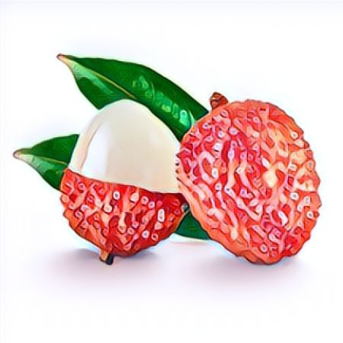 Litchi