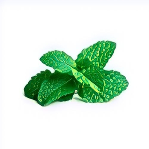 Menthe