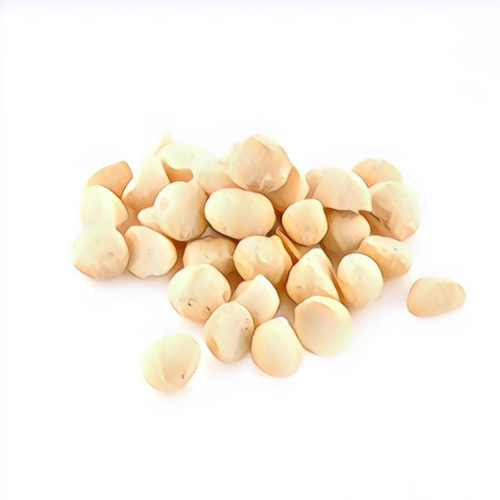 Noix de macadamia