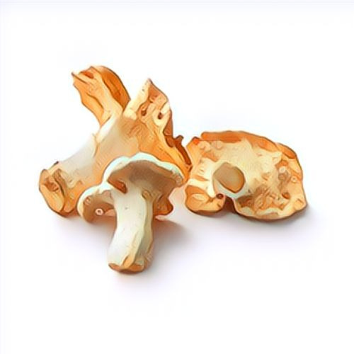 Pied-de-mouton