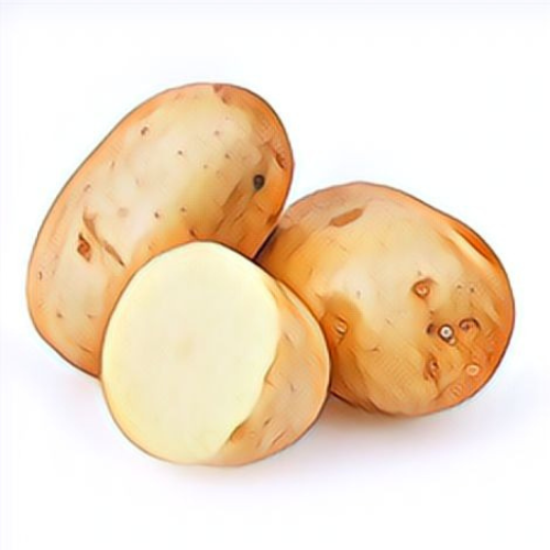 Pomme de terre