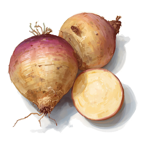 Rutabaga