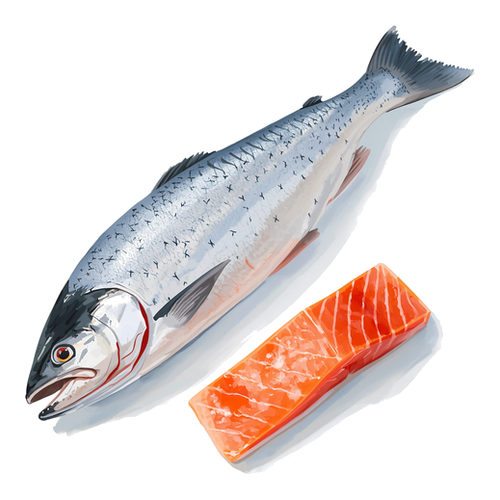 Saumon